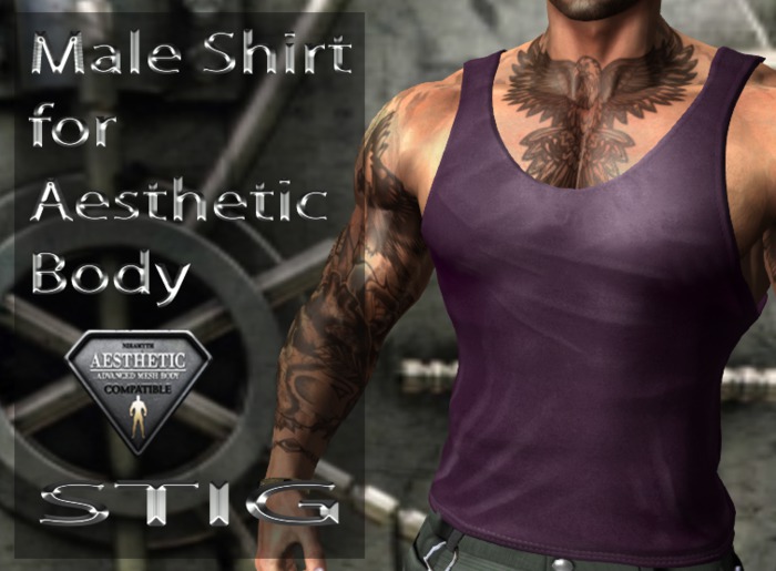 Male Tank Top Fitted Mesh for Aesthetic Body 