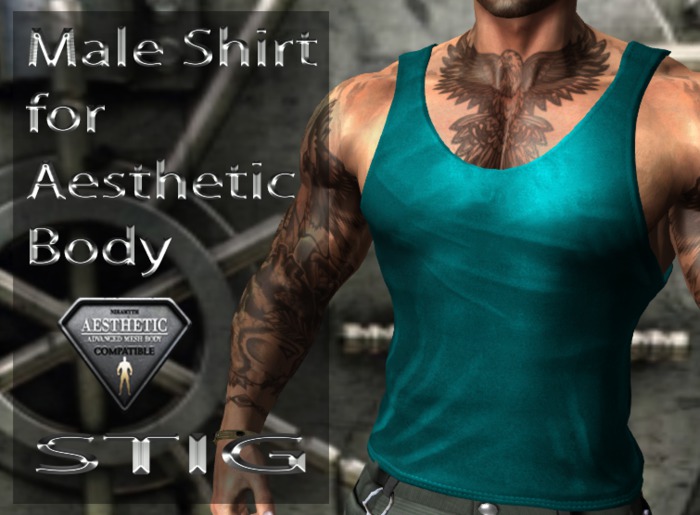 Male Tank Top Fitted Mesh for Aesthetic Body 