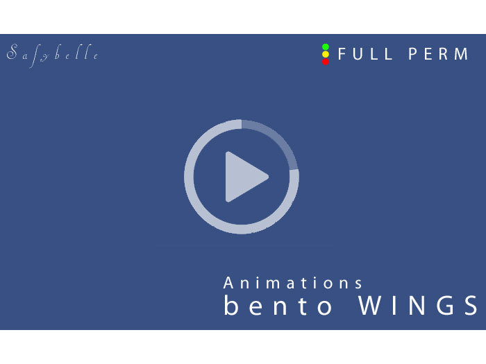 002-POSITION-WINGS-FRONT