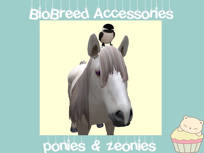 :ellie: Pony Little Bird