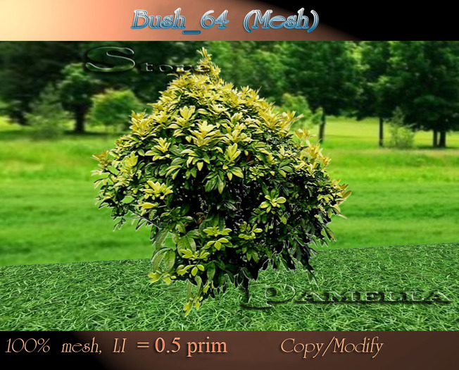 Bush_64  (Mesh)