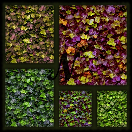 5 seamless ivy textures (512x512)