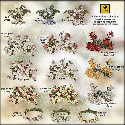 *LODE* Head Accessory - Philadelphus [white red honey] RARE