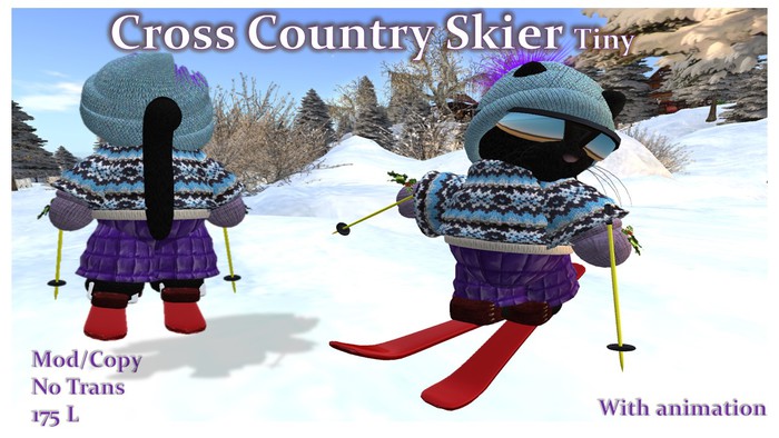 Cross Country Skier Tiny Box