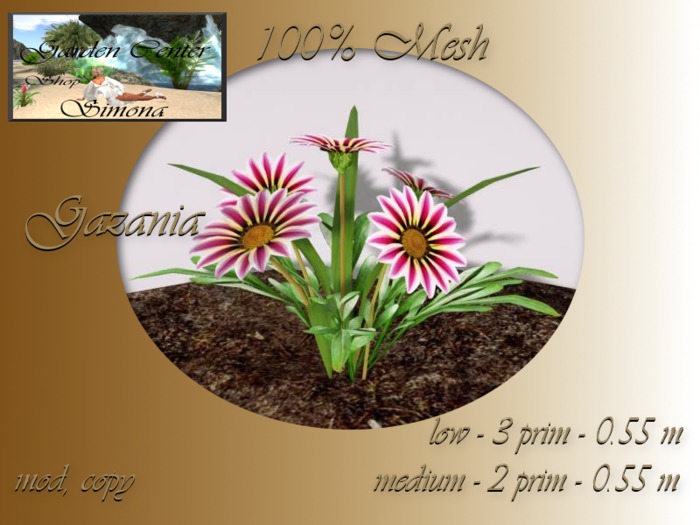 Gazania group red_001