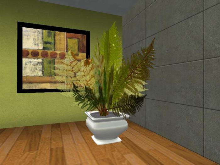 Arkad's 8 colors Potted Catinca's fern flexi plant 1