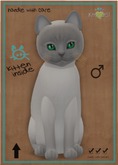 KittyCatS Box - Tonkinese - Blue Point