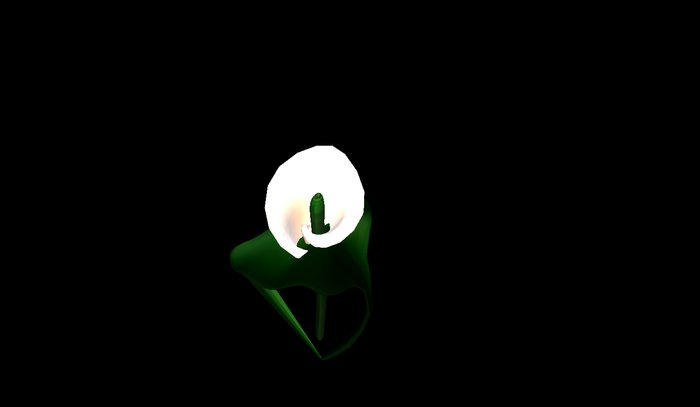AA calla groom flower white2