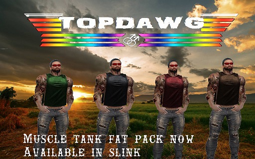 Slink Muscle Tank Fat Pack