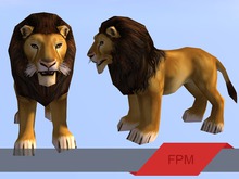 FPM Static Cartoon Lion - Full Perm - 2 LI