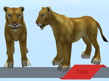 FPM Static Fantasy Lioness - Full Perm - 1 LI