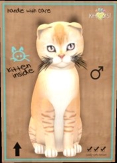  KittyCatS Box - Burmilla - Red Silver Shaded