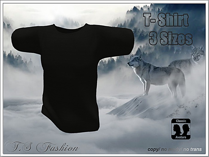 Black Mesh Male Shirt