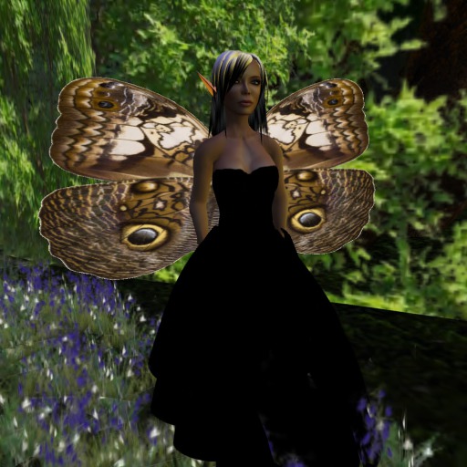 Caligo Martia Butterfly Wings V1.0