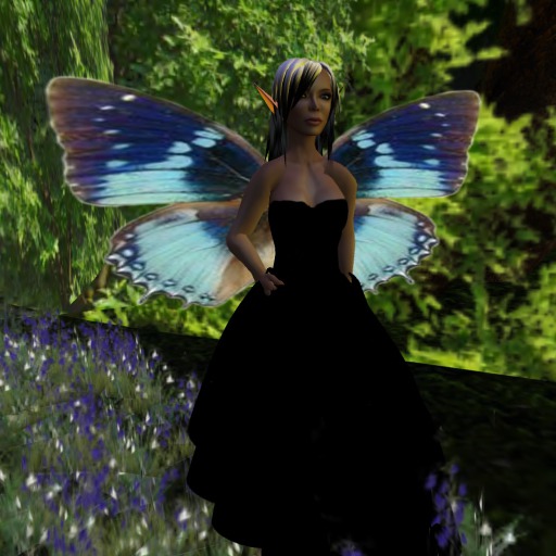 Charaxes smaragdalis Butterfly WIngs V1.0