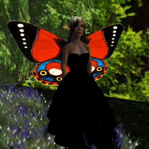 Indian Red Butterfly Wings V1.0