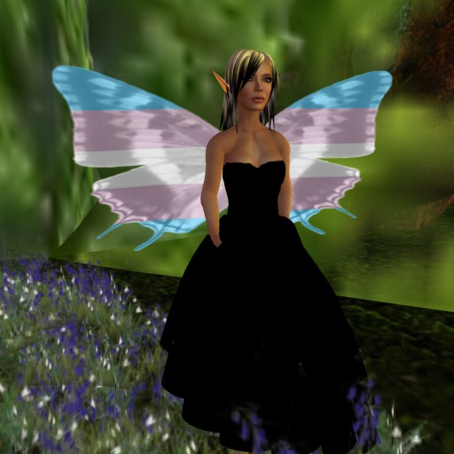 Transgender Butterfly Wings V1.0