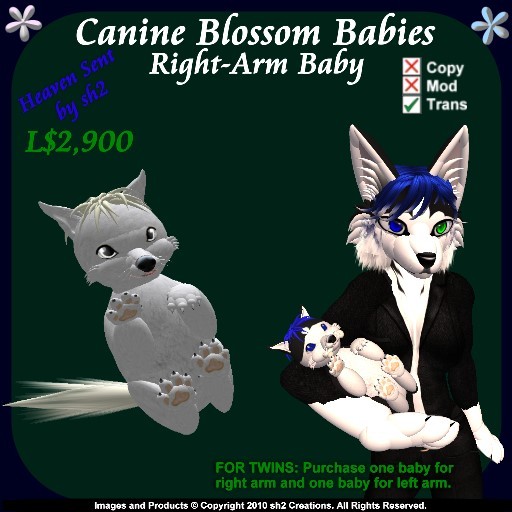 sh2 Canine Blossom Baby Right v2.0