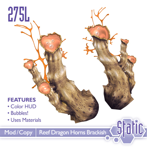 ::Static:: Reef Dragon Horns - Brackish