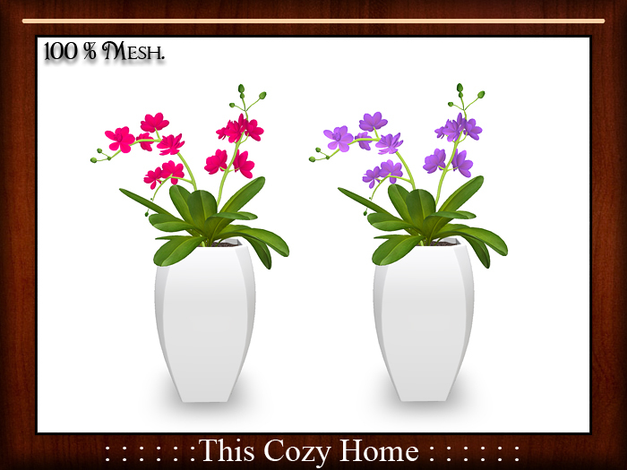 This Cozy Home - Spring Tulips In Vase