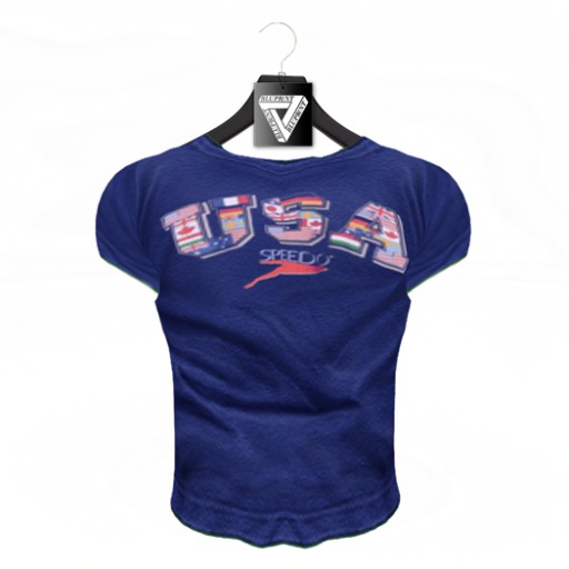 Blupr/nt - T-shirt  AESTHETIC Hud(US) .