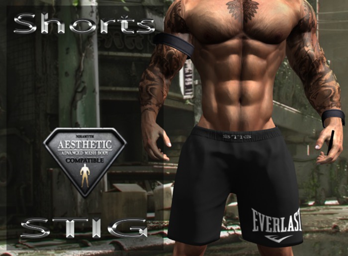 STIG  Sport Shorts for Aesthetic