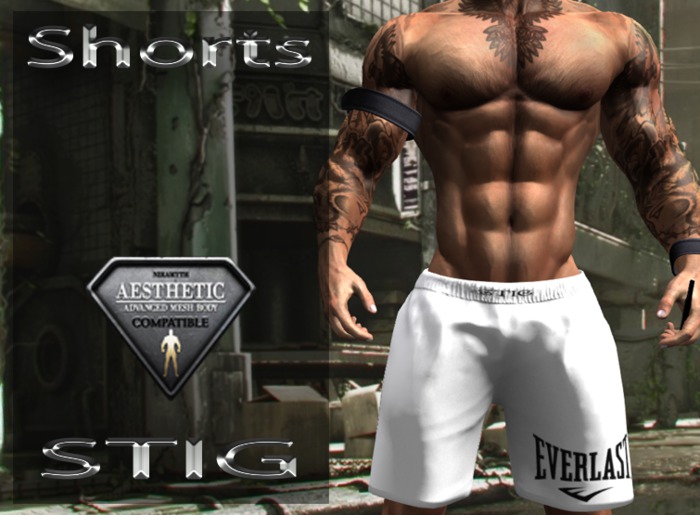 STIG  Sport Shorts  for Aesthetic