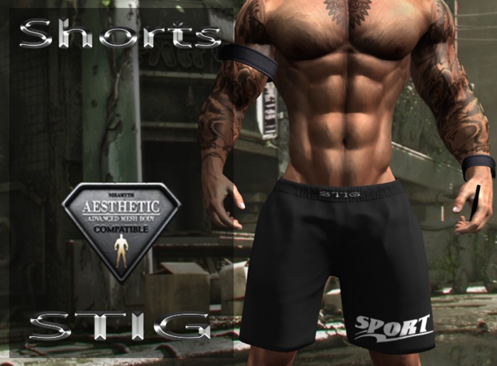 STIG  Sport Shorts for Aesthetic