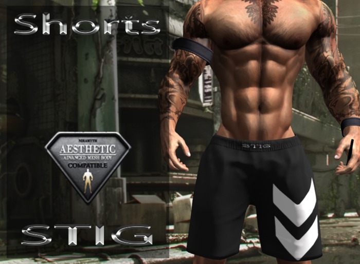 STIG Sport Shorts for Aesthetic