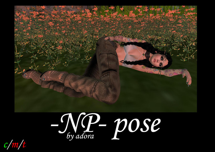 -NP- pose laying side