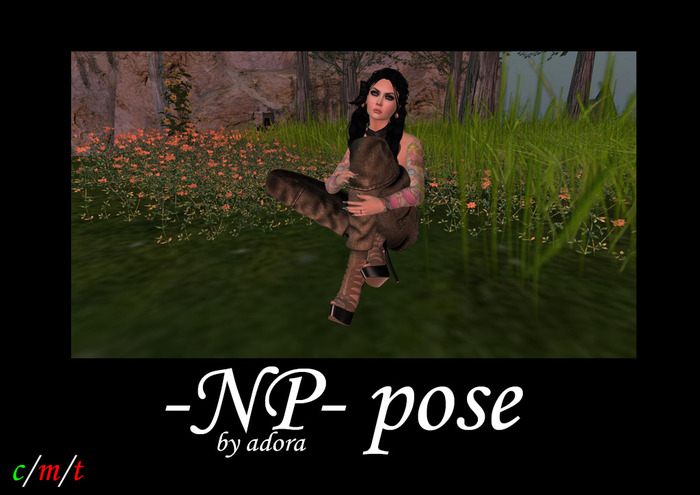 -NP- pose kneeled up