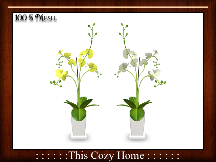 This Cozy Home - Simple pillow set