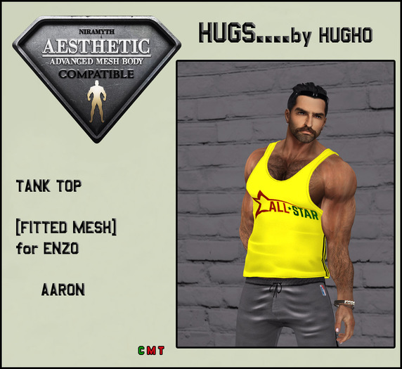 HUGS AESTHETIC TANK TOP AARON
