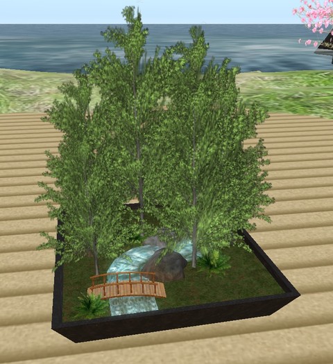 Japanese bonsai scenery - Gingko forest