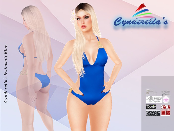 Cynderella's Swimsuit Blue