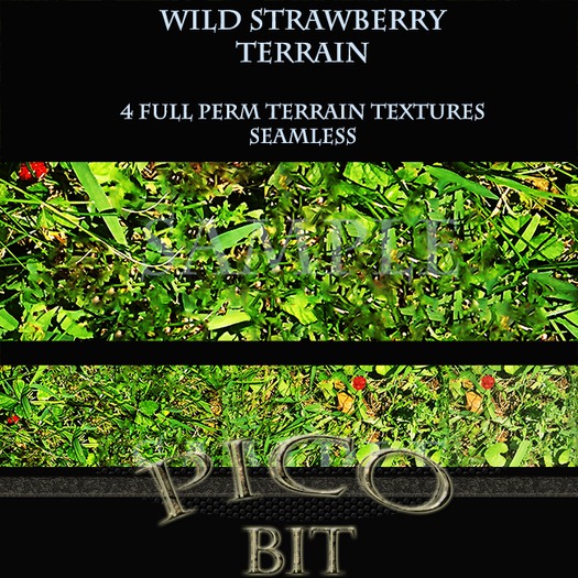 Wild Strawberries Terrain