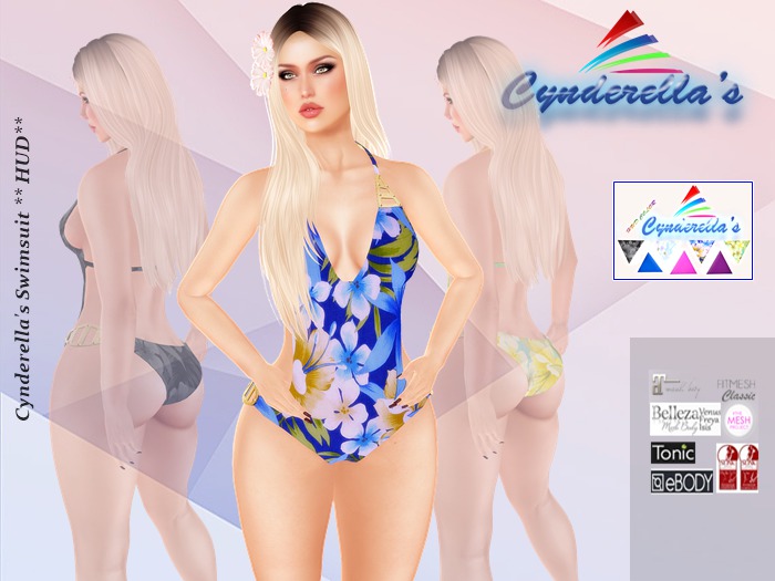 Cynderella's Swimsuit  * HUD *
