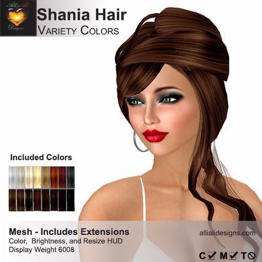 A&A Shania Hair Variety Colors Pack. Womens mesh half updo with extensions