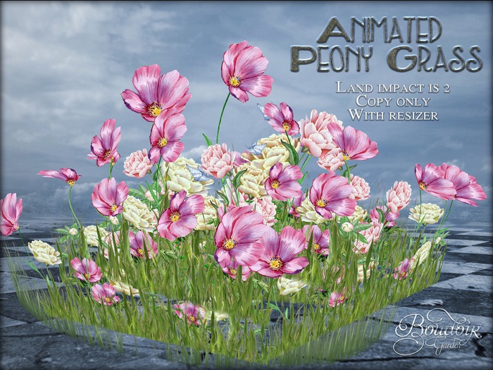 Animated Peony Grass