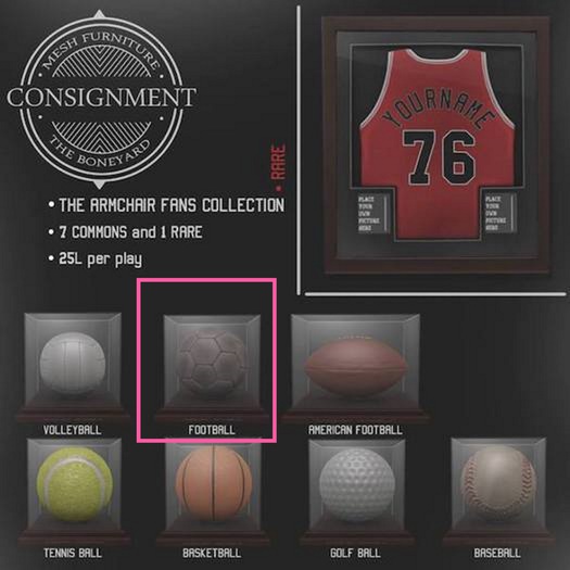 [Con.] The Armchair Fan's Collection - Football