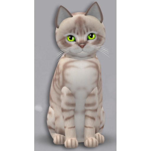 4T F AussieMistLM KL