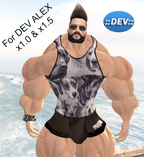 Alex Dogs Tank