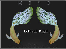 [Feliz] Guppy - Curved - Micro and Regular Mesh - Full Perm -