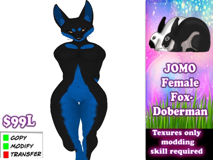 JOMO Female Fox- Doberman - Black & Blue