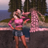 {anc} box) Hatsuyume / pink peacock WEAR