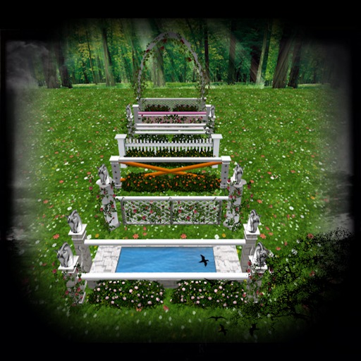 ::: Black Oak ::: Roses Jumps Set 1