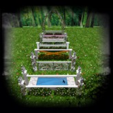 ::: Black Oak ::: Roses Jumps Set 1