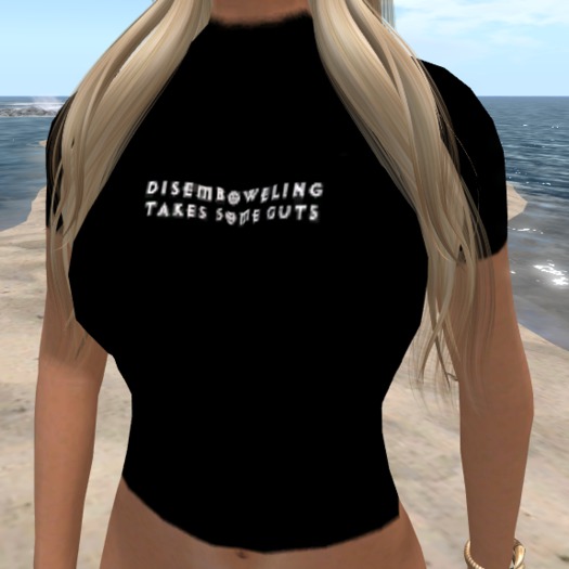 Disemboweling T-Shirt