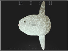 [Feliz] Sunfish - Micro and Regular Mesh - Full Perm -