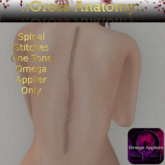 .:GA:. Spinal Stitches